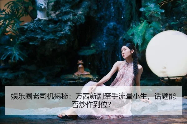 娱乐圈老司机揭秘：万茜新剧牵手流量小生，话题能否炒作到位？